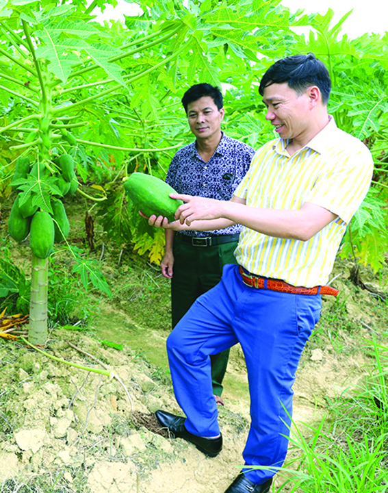 Người đại biểu dân cử miệng nói tay làm